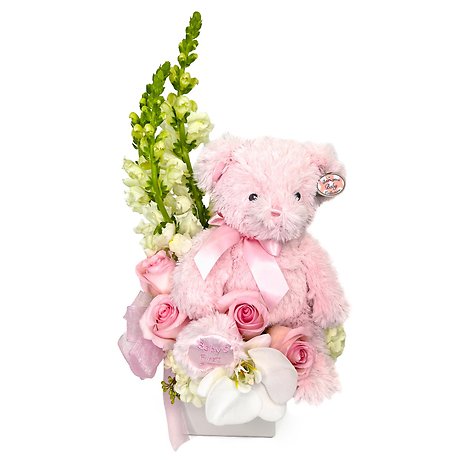 Beary Excited Arrangement - Girl